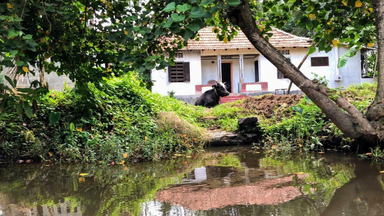 Ayana'S Homestay Alappuzha Exterior photo
